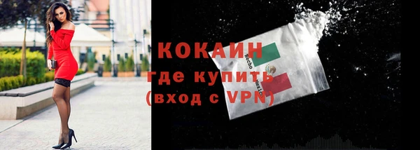 бошки Лагань
