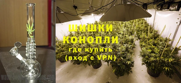 бошки Лагань