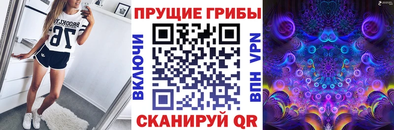 Купить закладки  Чудово  Псилоцибиновые грибы Psilocybine cubensis